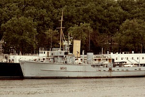 Alongside Chrysanthemum 1981