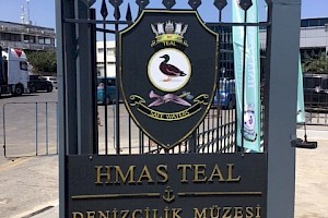 Teal gate